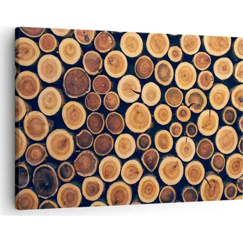 Obraz Obraz na plátně do obýváku ložnice 70x50 kmen stromu foto obrazy na zeď