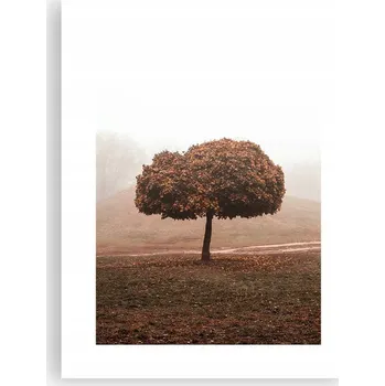 Obraz Obraz plakát do obýváku ložnice 30x40 strom foto plakáty bez rámu