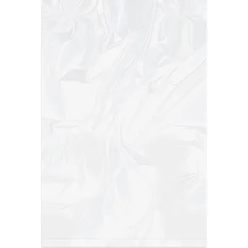 Sáček na potraviny Sáček LDPE plochý 30x50cm 100ks