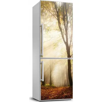 Fototapeta Samolepka na ledničku samolepící Les na podzim 70x190