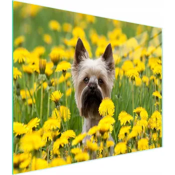 Kuchyňské prkénko Krájecí deska TMK ArtDeko sklo 1 ks