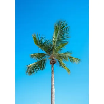 Plakát Plakát Vysočina Nebe bez rámu 64 x 90 cm