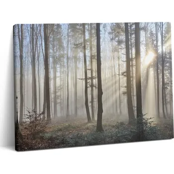 Obraz Fotoobraz Canvas do pokoje, jídelny – Moderní les v mlze, 80x60 cm