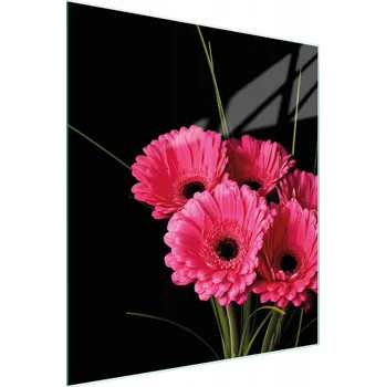 Kuchyňské prkénko Krájecí deska TMK ArtDeko sklo 1 ks