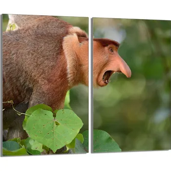 Kuchyňské prkénko Krájecí deska TMK ArtDeko sklo 2 ks