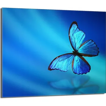 Kuchyňské prkénko Krájecí deska TMK ArtDeko sklo 1 ks