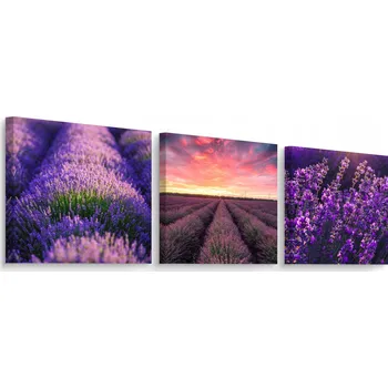 Obraz Obrazy Canvas do kuchyně LEVANDULE Květiny Rostliny Pole Krajina 120x40