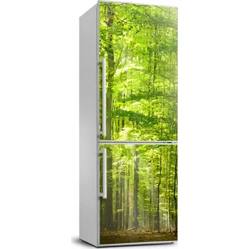 Fototapeta Samolepka na ledničku Krajina Bukový les 70x190