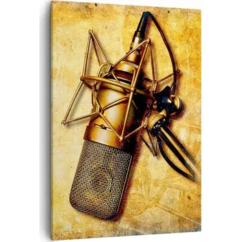 Obraz Obraz na plátně do obýváku, ložnice 50x70 mikrofon, obrazy na zeď canvas