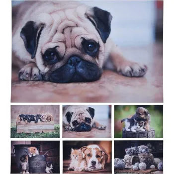 Rohožka Homestyling Rohožka čistící 58X38cm pes a kotě