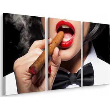Obraz 3dílný 3D obraz Žena s doutníkem a kouřem 180x120 cm