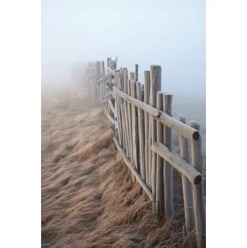 Plakát Plakát Mlha nad Dunami bez rámu 61 x 91,5 cm