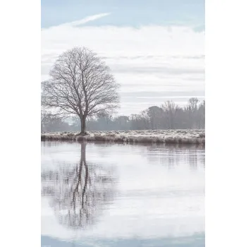 Obraz Plakát Odraz stromu v rybníku bez rámu 30 x 45 cm