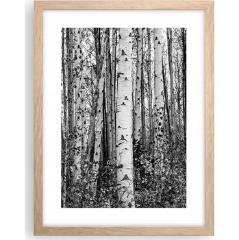 Obraz Obraz plakát v rámu světlý dub do obýváku 30x40 les foto plakáty na zeď