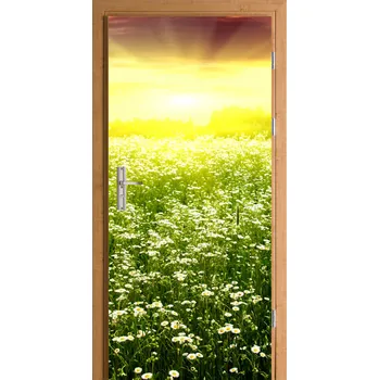 Fototapeta Nálepka na dveře – východ slunce na palouku, zeleň