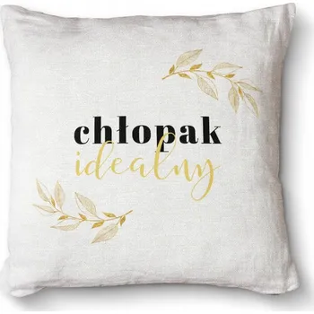 Polštář Polštář na postel, křeslo, židli Premium 40x40 - Ideální kluk