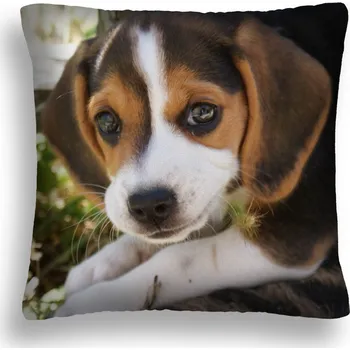 Polštář POLŠTÁŘ PES 19 SLADKÉ ŠTĚNĚ JASIEK VÝROBCE