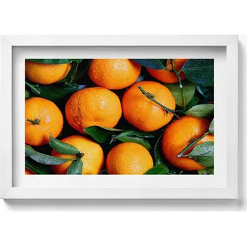 Obraz Moderní nástěnná dekorace obraz v bílém rámu Ovoce pomeranče 30x20 cm