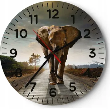 Hodiny Velké nástěnné hodiny na zeď 40x40 Slon Skleněné hodiny Kulatý Tiché