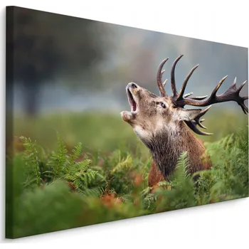 Obraz Obraz na zeď Řvoucí jelen Rostliny Zeleň 40x30