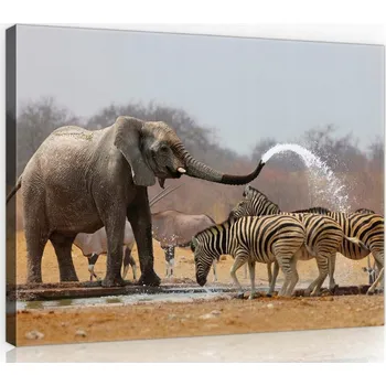 Obraz OBRAZ NA PLÁTNĚ CANVAS 60x40 SLON ZEBRA ZÁBAVA