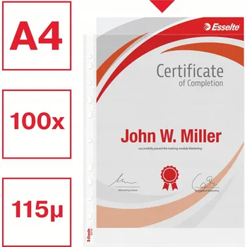 Košile A4 Esselte 100