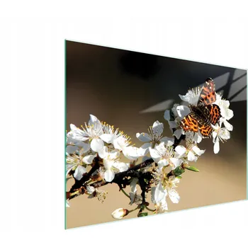 Kuchyňské prkénko Krájecí deska TMK ArtDeko sklo 1 ks