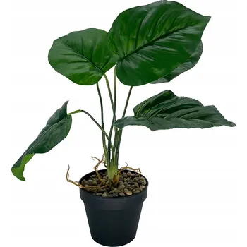 umělá květina Diefenbachie Umělé květy JAKO ŽIVÁ 55 cm