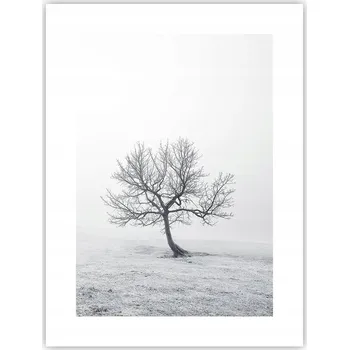 Obraz Obraz plakát do obýváku ložnice 30x40 krajina plakáty na zeď bez rámu