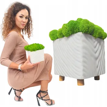 Obraz BETONOVÝ KVĚTINÁČ bílý s MECHEM CHROBOTKEM živá dekorace MECH CHROBOTEK