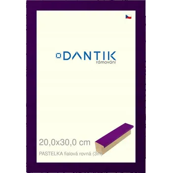 Obraz Rámeček na jednu fotografii DANTIK 30 x 20 cm