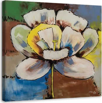 Obraz Obraz na plátně - Canvas, Velký květ 50x50