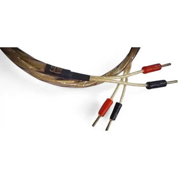 Audio kabel QED Golden Anniversary XT | 2x5m