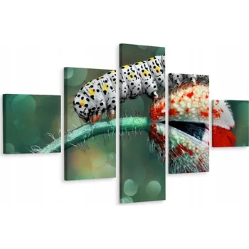 Obraz Vícedílný obraz Housenka ROSTLINA Příroda 3D 250x150 cm