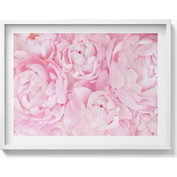 Obraz Dekorativní nástěnný obraz v bílém rámu s grafikou Jemné pivoňky 80 x 60 cm