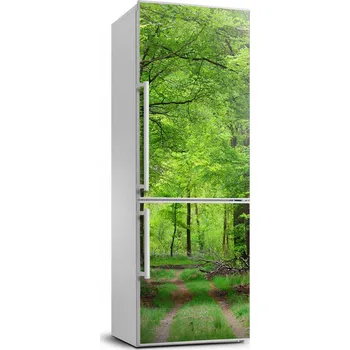 Fototapeta Samolepka na ledničku samolepící se zeleným lesem