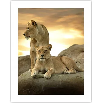 Obraz Obraz plakát na zeď bez rámu 40x50 zvířata plakáty do obýváku ložnice