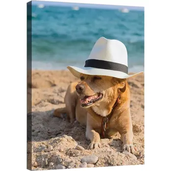 Obraz OBRAZ NA PLÁTNĚ CANVAS 40x60 PES PLÁŽ RELAX