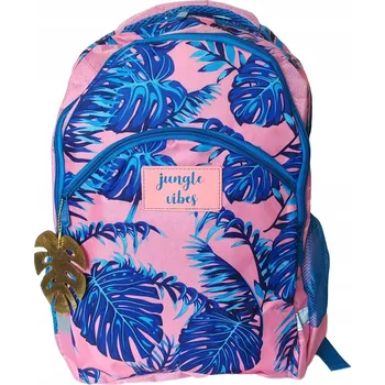 Školní batoh Školní batoh Paso s více přihrádkami, modrý, růžový