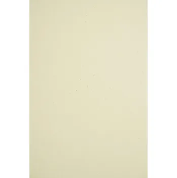 Barevný papír Ozdobný papír A4 Woodstock 110 g/m2 10 listů