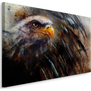 Obraz Obraz do obýváku pták orel malířství příroda 70x50 cm