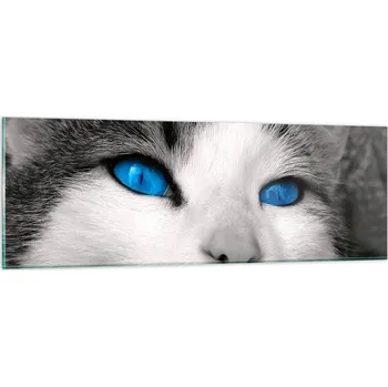 Obraz Obraz na skle do obýváku ložnice 90x30 zvířata obrazy na zeď sklo