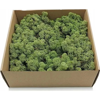 Obraz 500g MECH CHROBOTEK sobí, zelený, NORSKÝ