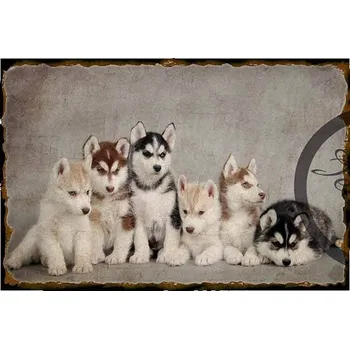 Obraz Cedule Pejsky 2