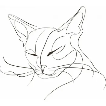 Plakát Plakát s linkou kočky, bez rámu, 55 x 40 cm