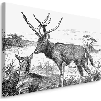 Obraz Obraz do obýváku černobílý JELENI příroda 70x50