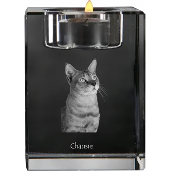 Svícen Chausie - svícen s fotografií koně, křišťálový podstavec na čajovou svíčku, p