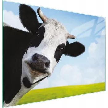 Kuchyňské prkénko Krájecí deska TMK ArtDeko sklo 2 ks