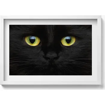 Obraz Nástěnný dekorativní foto obraz v bílém rámu Zvíře kočičí oči 60x40 cm