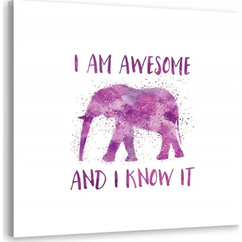 Obraz Obraz Magnolie na růžovém pergamenu Haase 60x90